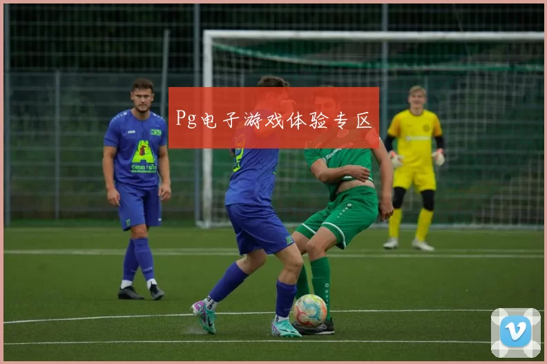 Pg电子游戏体验专区