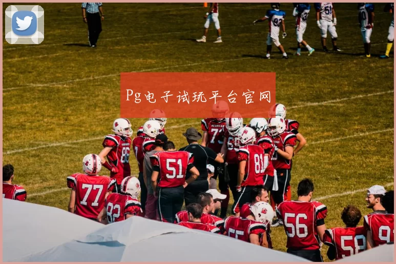 Pg电子试玩平台官网