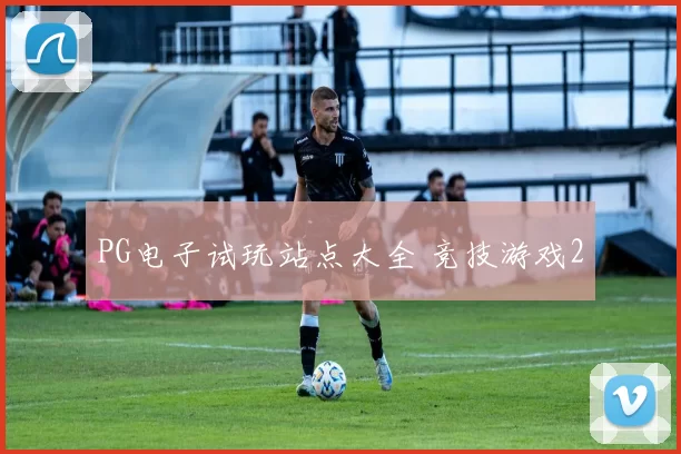 PG电子试玩站点大全 竞技游戏2