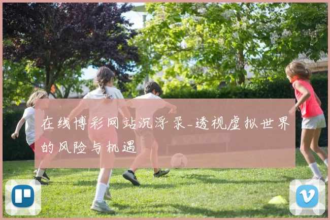 在线博彩网站沉浮录_透视虚拟世界的风险与机遇