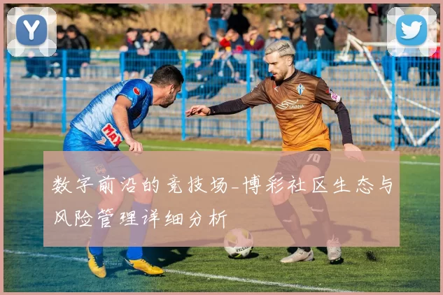 数字前沿的竞技场_博彩社区生态与风险管理详细分析