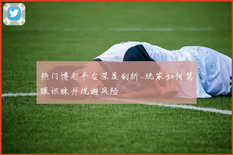 热门博彩平台深度剖析_玩家如何慧眼识珠并规避风险