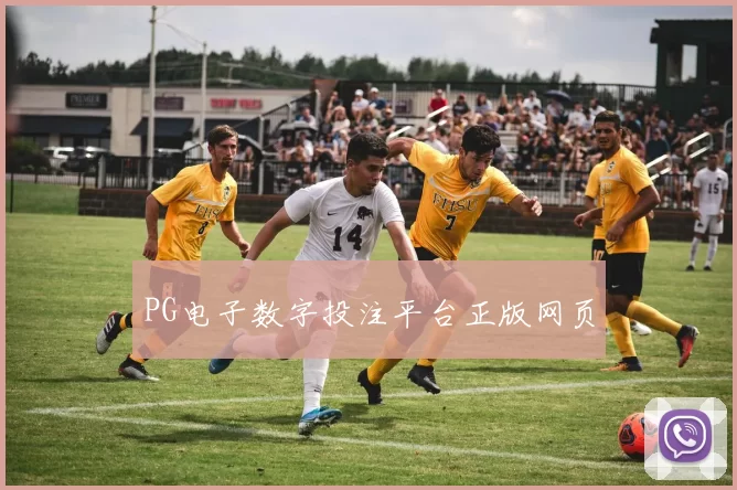 PG电子数字投注平台正版网页