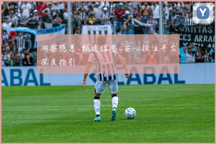 洞察隐患_甄选信誉_安心投注平台深度指引