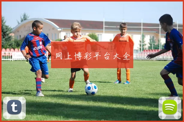 网上博彩平台大全
