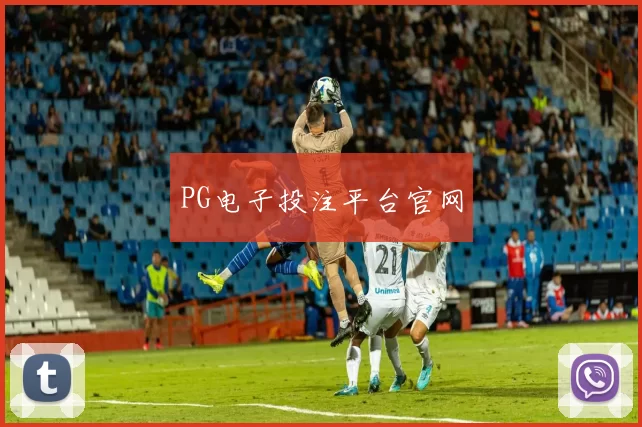 PG电子投注平台官网
