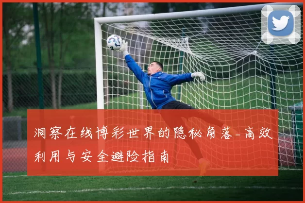 洞察在线博彩世界的隐秘角落_高效利用与安全避险指南