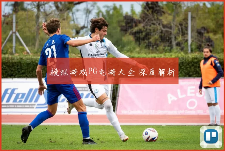 模拟游戏PG电游大全 深度解析