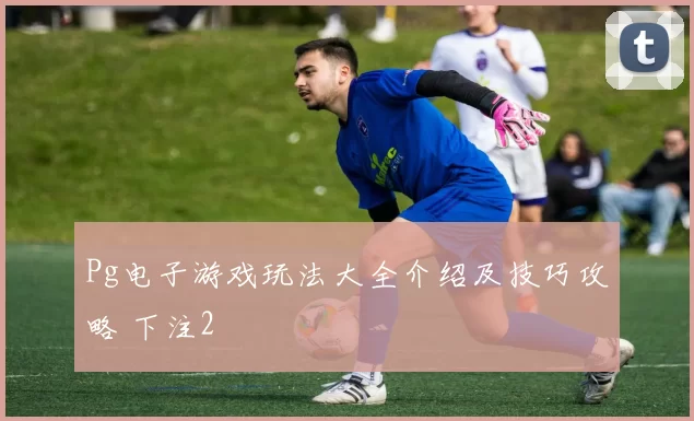 Pg电子游戏玩法大全介绍及技巧攻略 下注2