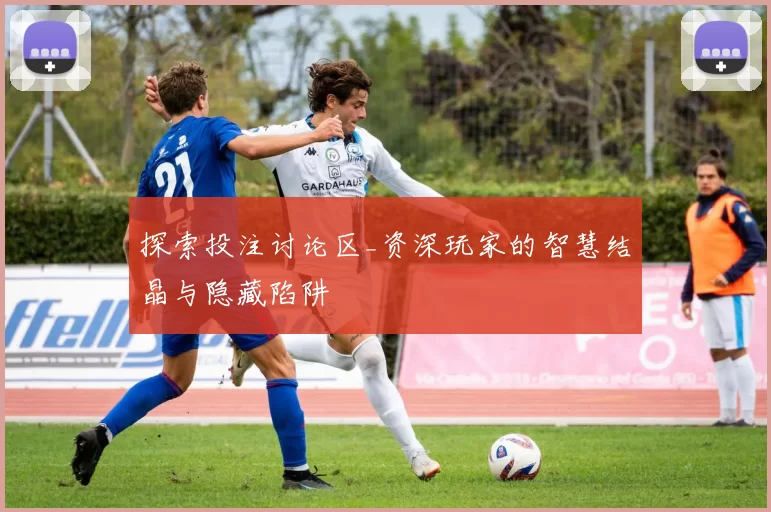 探索投注讨论区_资深玩家的智慧结晶与隐藏陷阱