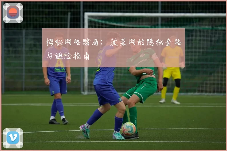 揭秘网络赌局：菠菜网的隐秘套路与避险指南