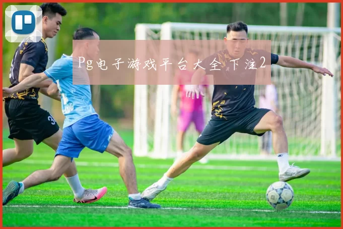 Pg电子游戏平台大全 下注2