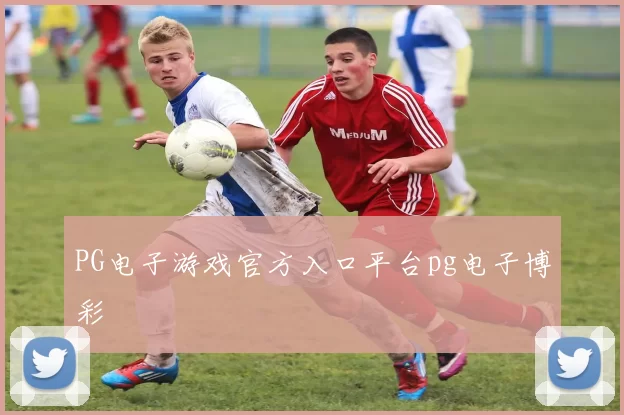 PG电子游戏官方入口平台pg电子博彩