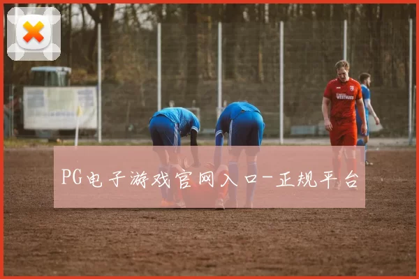 PG电子游戏官网入口-正规平台