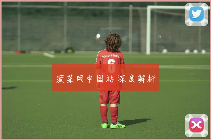 菠菜网中国站 深度解析