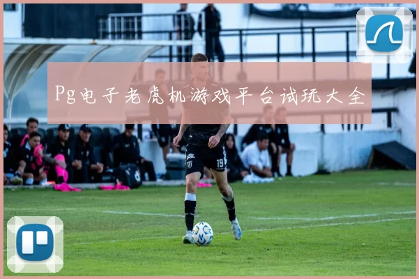 Pg电子老虎机游戏平台试玩大全