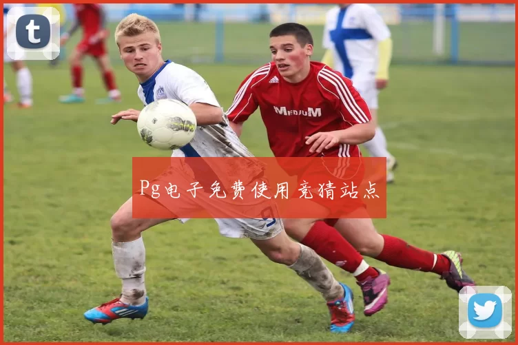 Pg电子免费使用竞猜站点