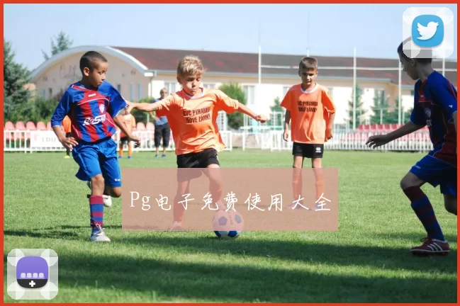 Pg电子免费使用大全