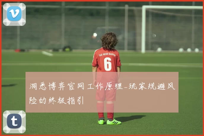 洞悉博弈官网工作原理_玩家规避风险的终极指引