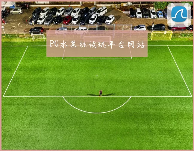 PG水果机试玩平台网站