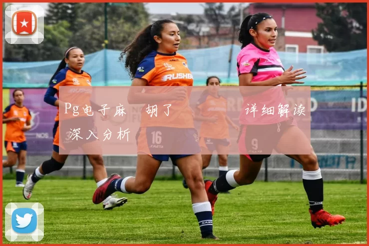 Pg电子麻將胡了遊戲體驗 详细解读 深入分析