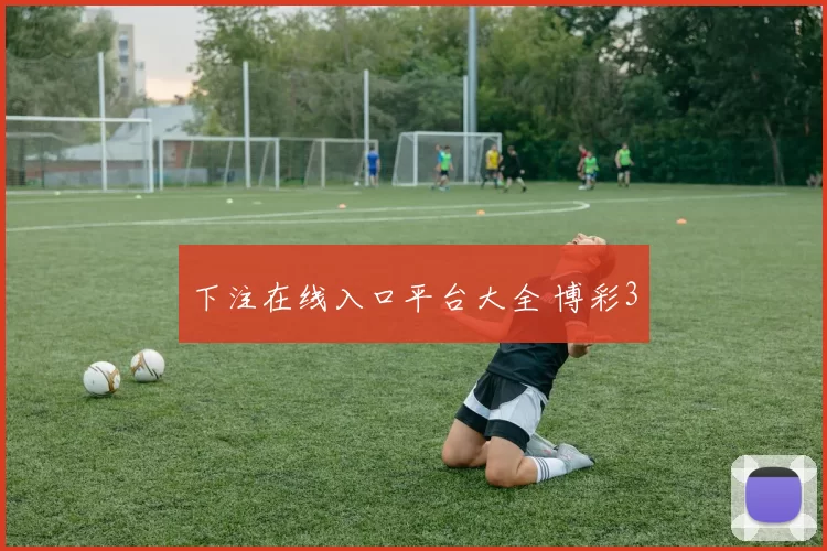 下注在线入口平台大全 博彩3