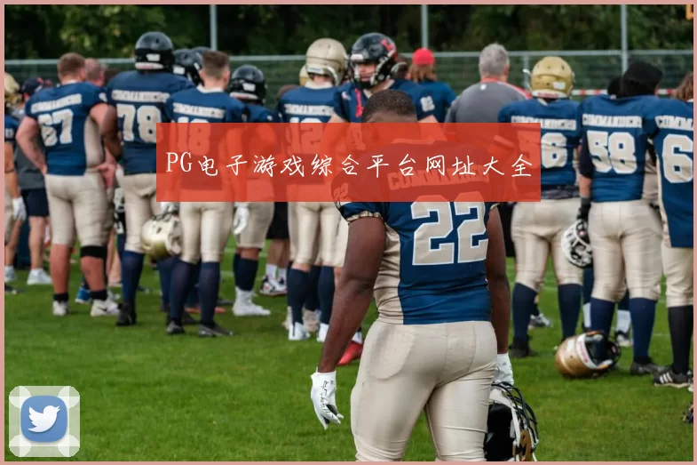 PG电子游戏综合平台网址大全