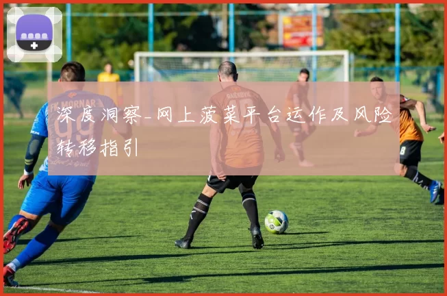 深度洞察_网上菠菜平台运作及风险转移指引