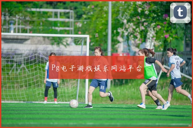 Pg电子游戏娱乐网站平台