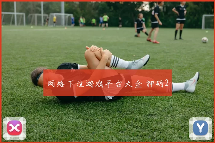 网络下注游戏平台大全 押码2