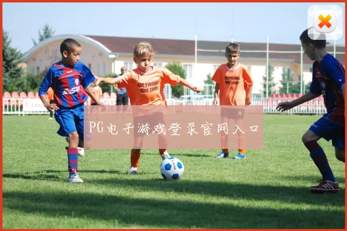 PG电子游戏登录官网入口
