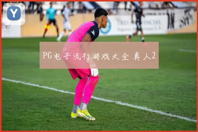 PG电子流行游戏大全 真人2