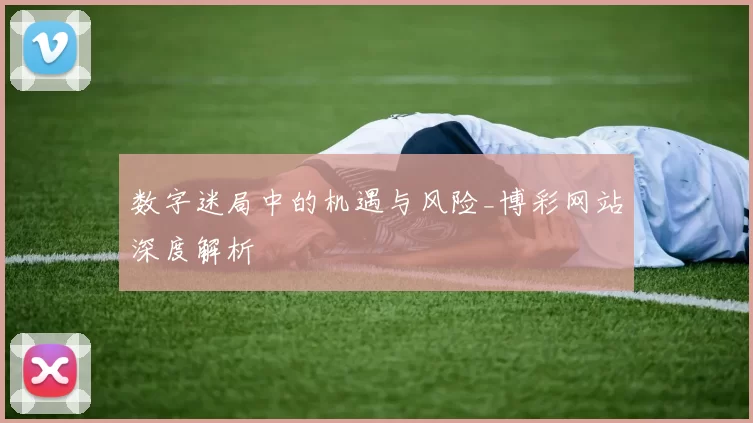 数字迷局中的机遇与风险_博彩网站深度解析