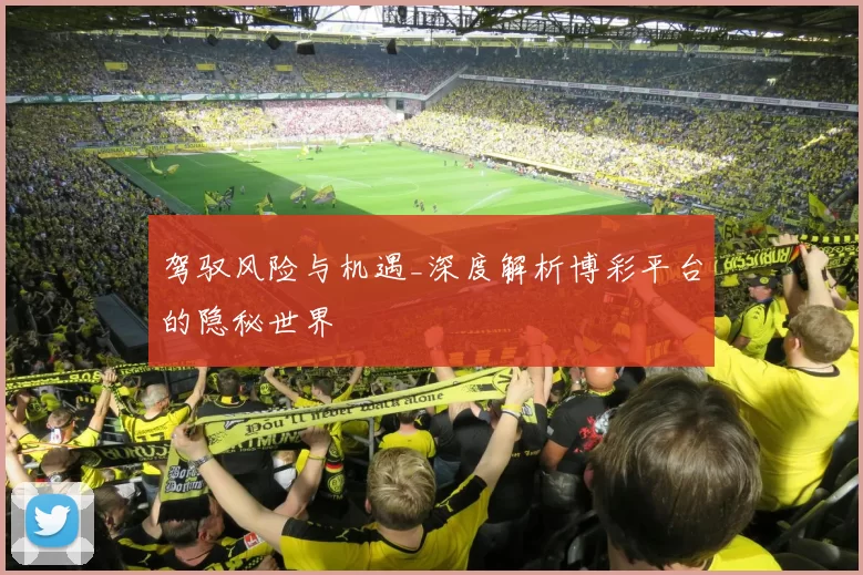 驾驭风险与机遇_深度解析博彩平台的隐秘世界
