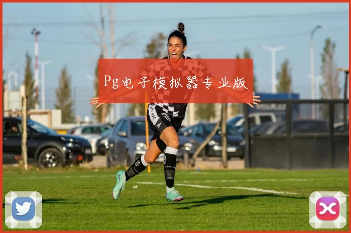 Pg电子模拟器专业版